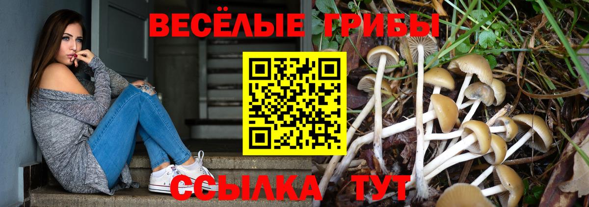 Псилоцибиновые грибы мицелий  Вход с VPN  Галлюциногенные грибы Psilocybe  Нягань 